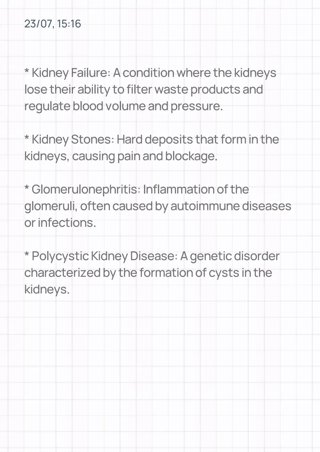23/07, 15:16
THE KIDNEY
INTRODUCTION:
The kidneys are bean-shaped organs located in
the back of the abdominal cavity, one on each
side of th