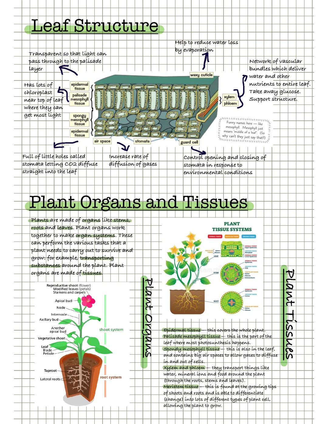 Plant biology