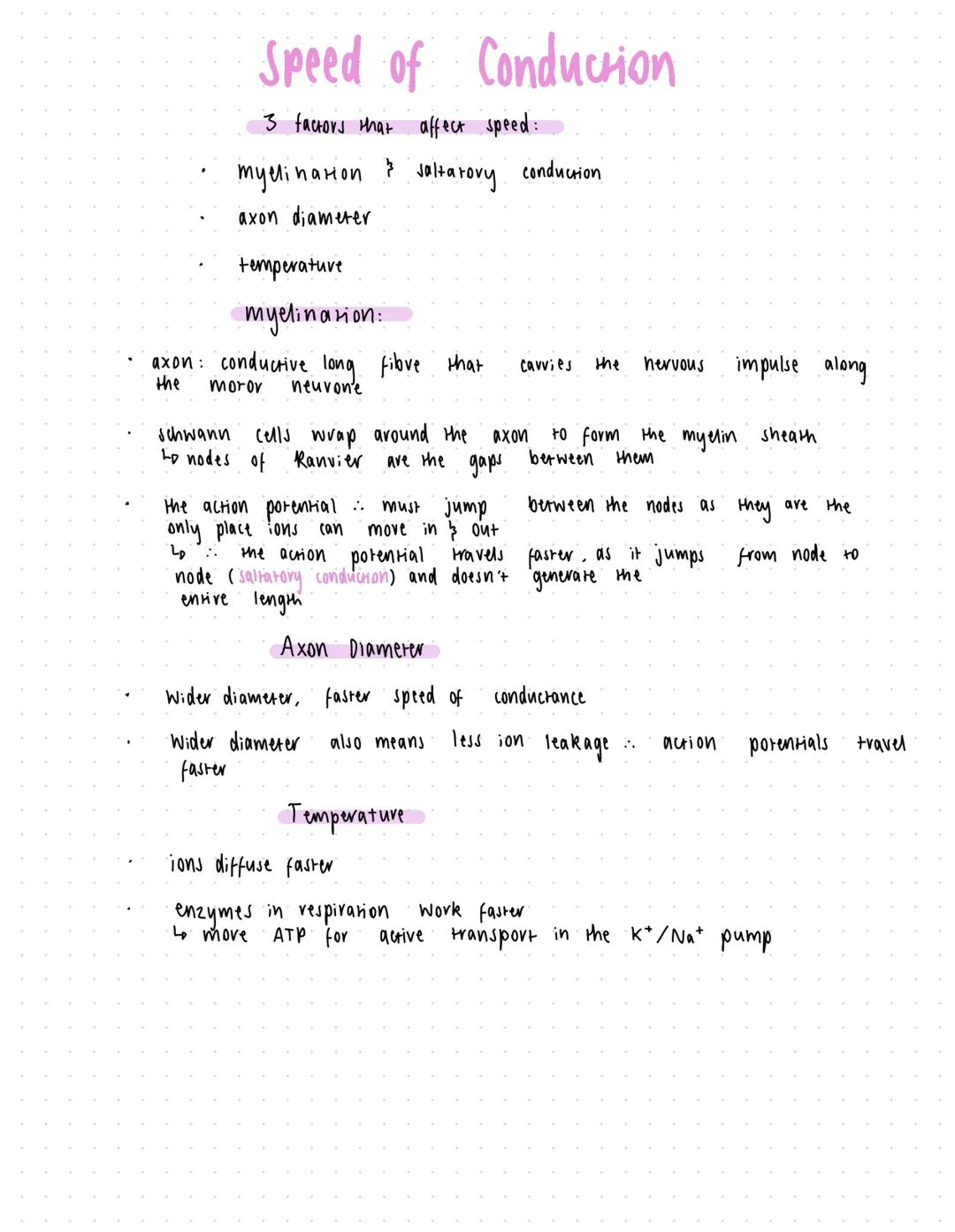 ها
Resting Potentials
call body of the neurone
in а
contains the
organelles found
the
nucleus
typical animal cell, including
proteins neurot