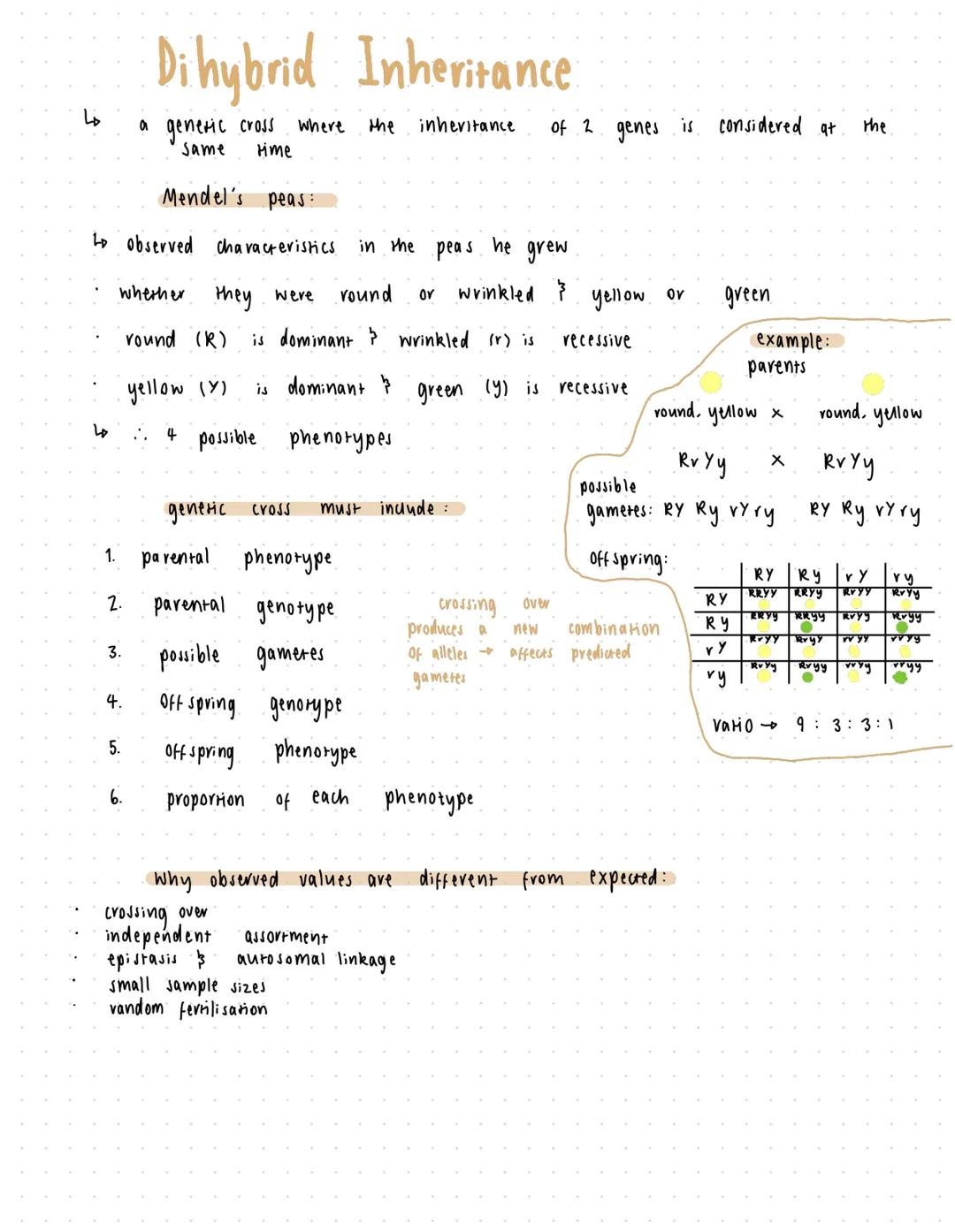 # Inheritance
| type of inheritance | generic diagram coding | example |
| ----------- | ----------- | ----------- |
| monohybrid | Single