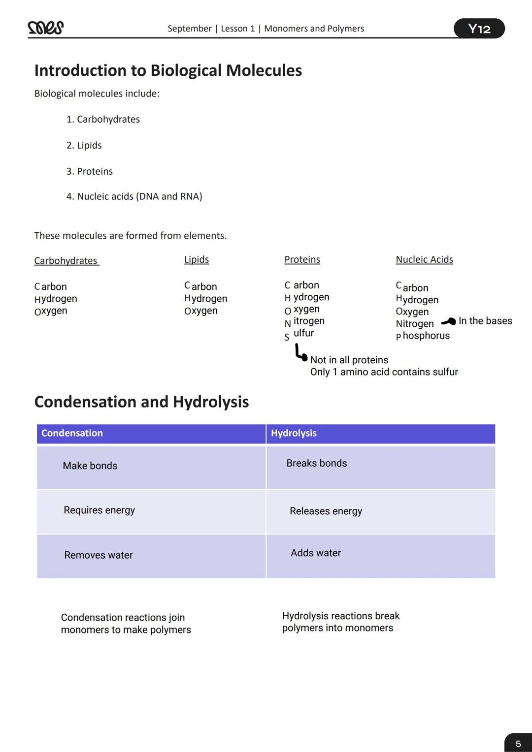 # Year 12
# BIOLOGY
## September | Lesson 1
## Monomers and Polymers
# WORKBOOK
myedspace.co.uk mes
September | Lesson 1 | Monomers and