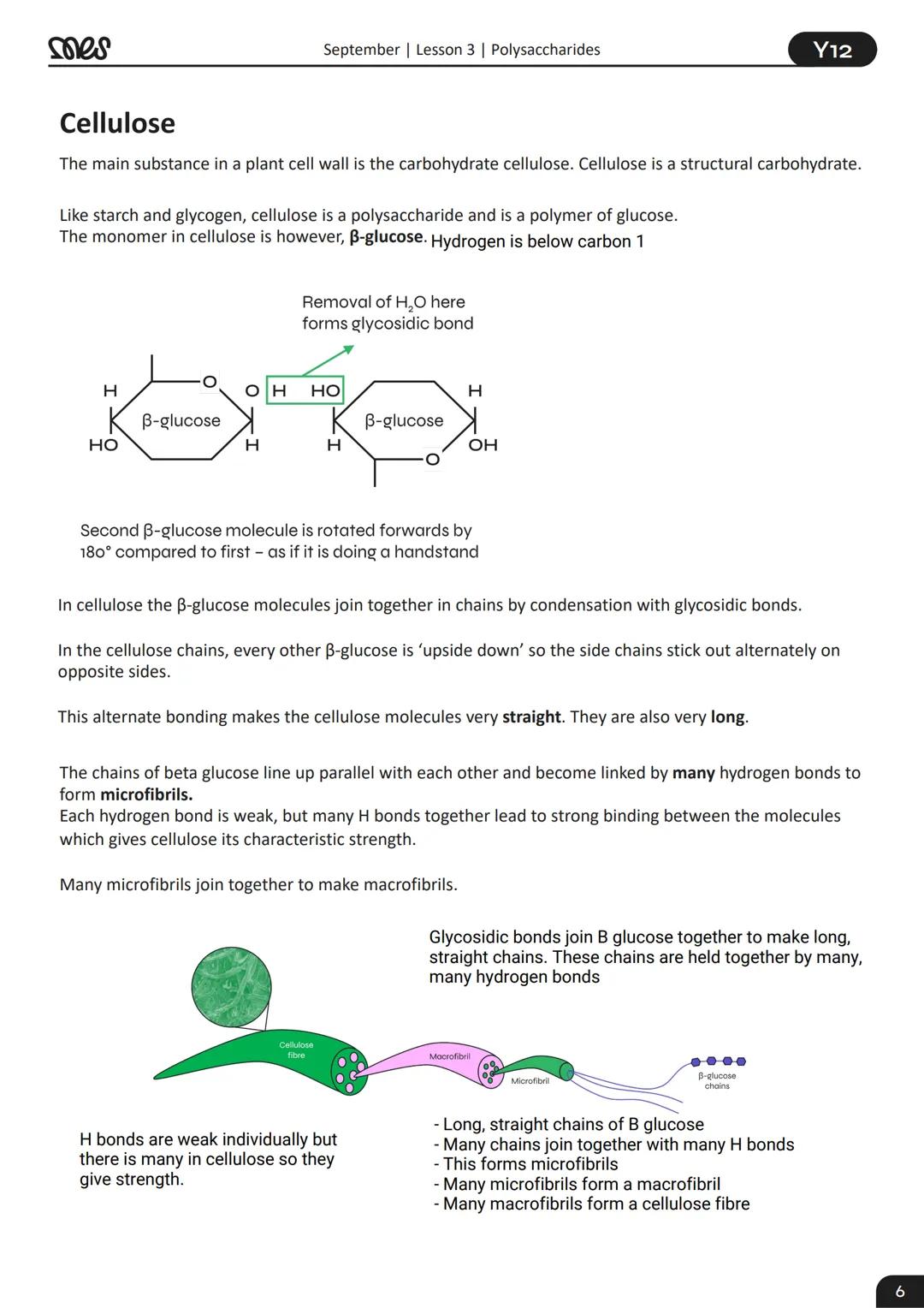 Year 12
BIOLOGY
September | Lesson 3
Polysaccharides
WORKBOOK
Soes
myedspace.co.uk mes
Recap
September | Lesson 3 | Polysaccharides
1. Carbo