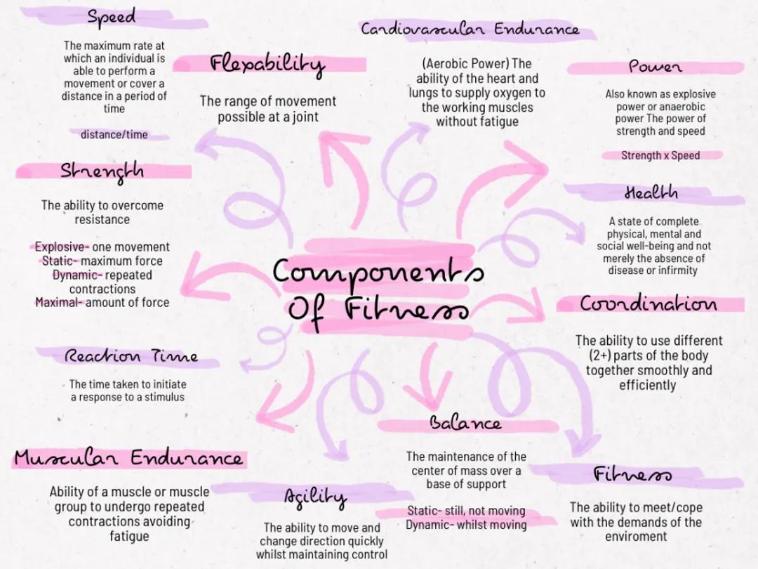 Fitness Components Explained - Comprehensive Mindmap