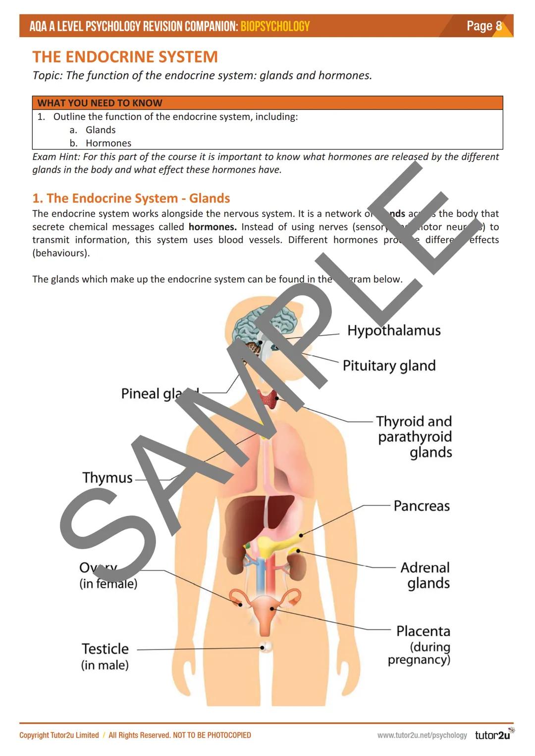 tutor2u
AQA A LEVEL PSYCHOLOG
BIOPSYCHOLOGY
REVISION COM ANIO
Everything you need to know for the
biopsych ogy top in sychology
• Nervouste.