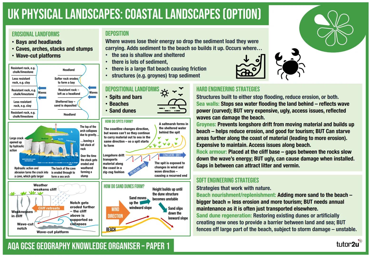 UK PHYSICAL LANDSCAPES: COASTAL LANDSCAPES (OPTION)
•
WAVE KEY TERMS
Crest: Point at
the top of a wave.
Trough: Base of a wave.
Wave height: