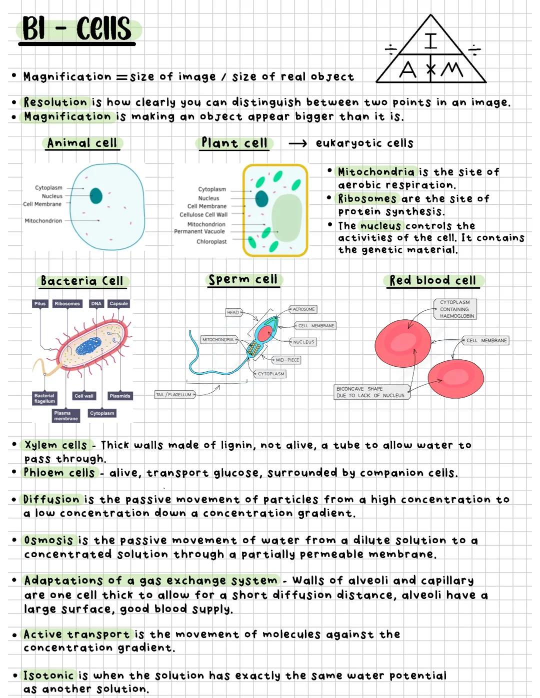 AQA Biology B1 and B2 Summarised notes
