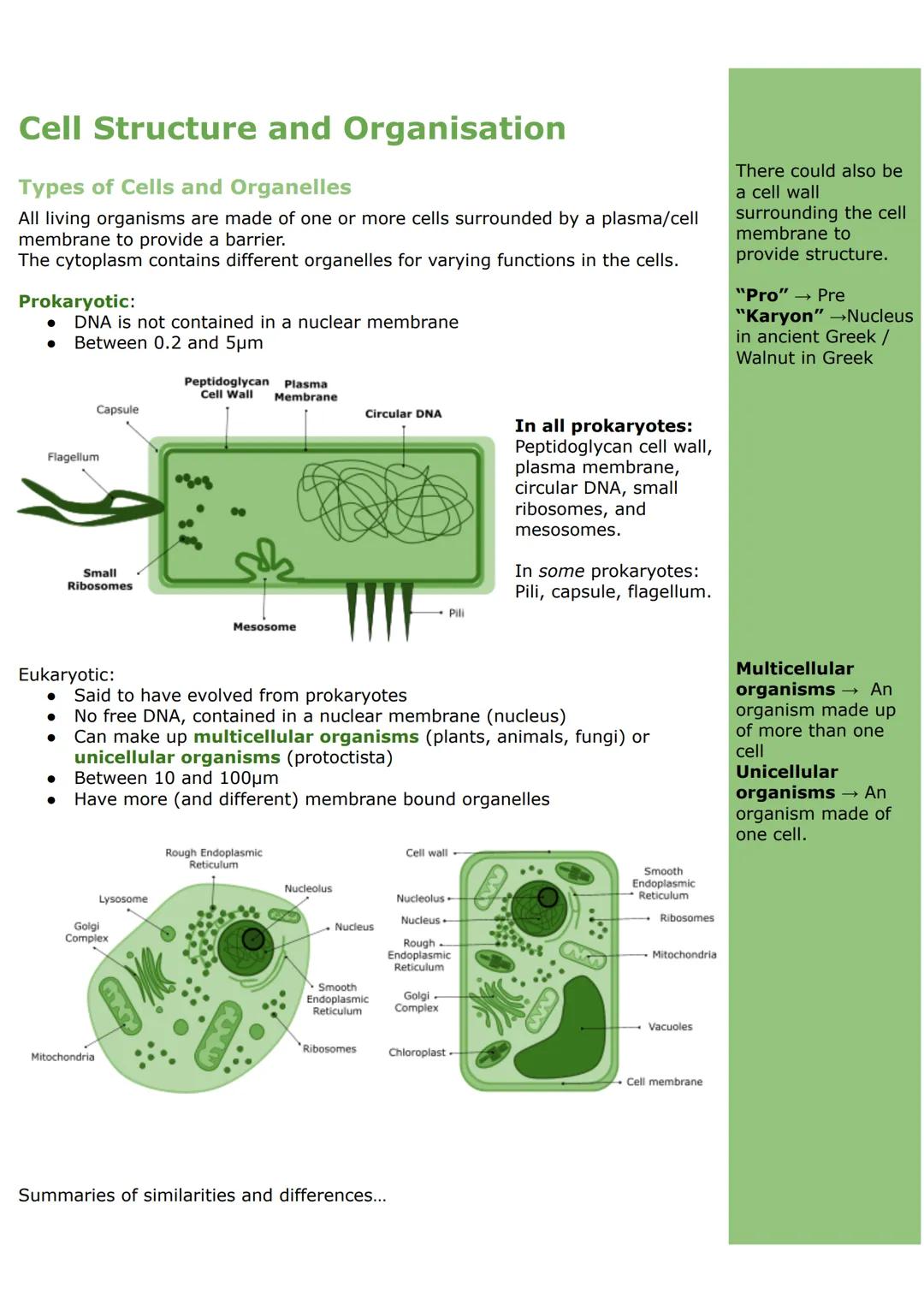 Cell Structure and Organisation
Types of Cells and Organelles
All living organisms are made of one or more cells surrounded by a plasma/cell