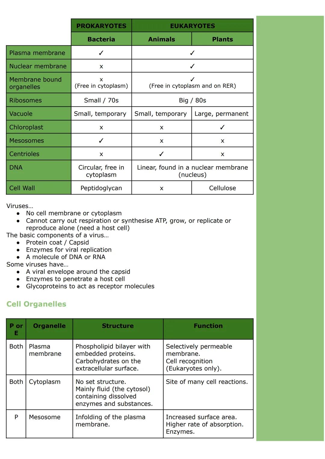 Cell Structure and Organisation
Types of Cells and Organelles
All living organisms are made of one or more cells surrounded by a plasma/cell