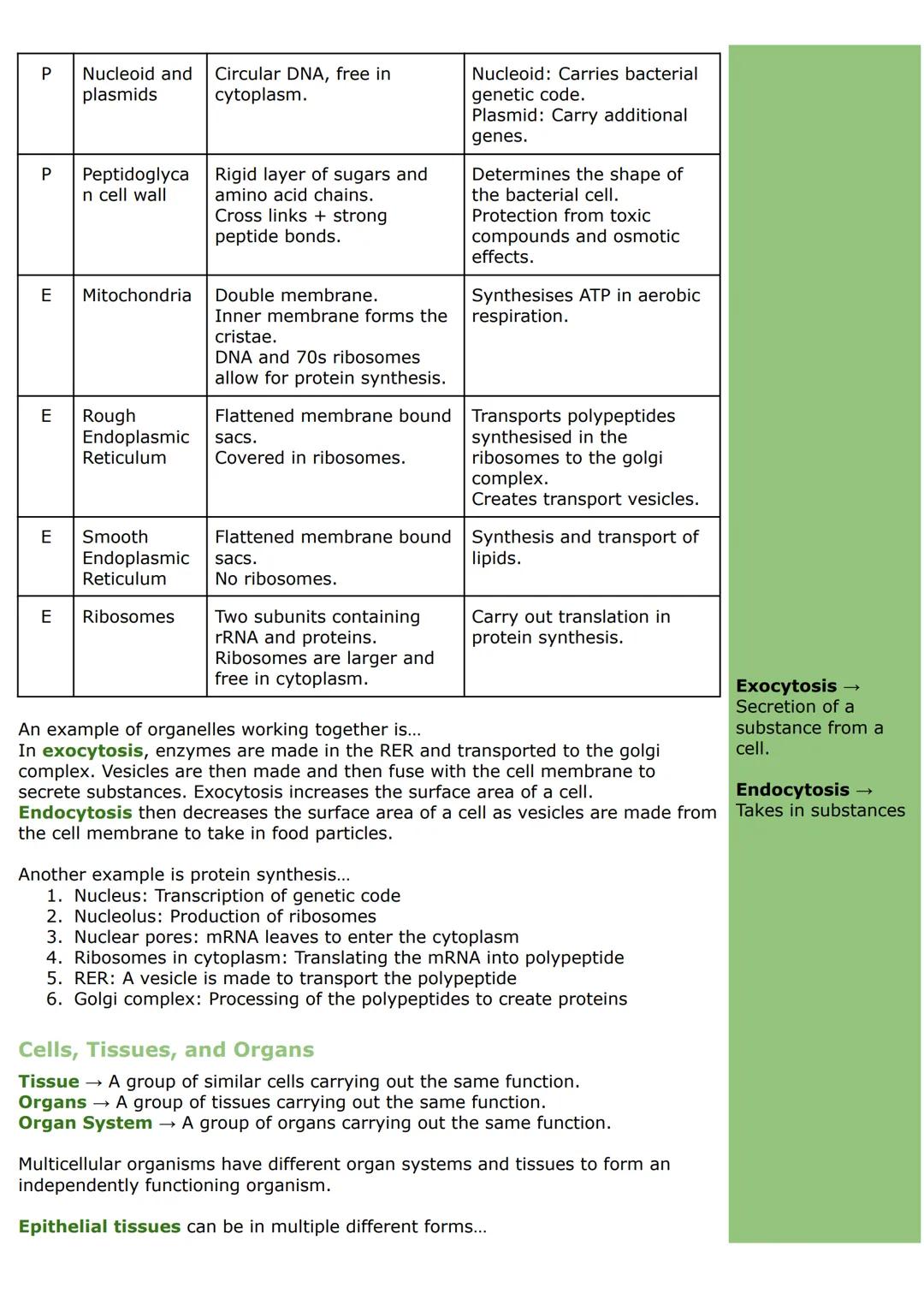 Cell Structure and Organisation
Types of Cells and Organelles
All living organisms are made of one or more cells surrounded by a plasma/cell