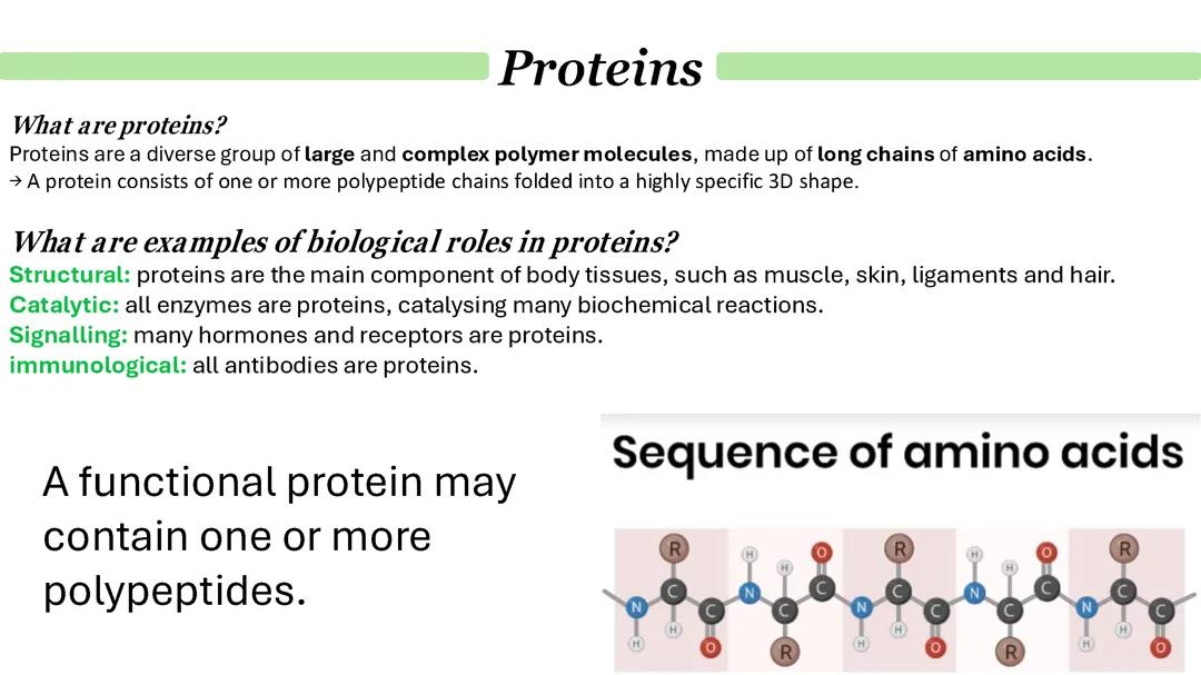 Proteins