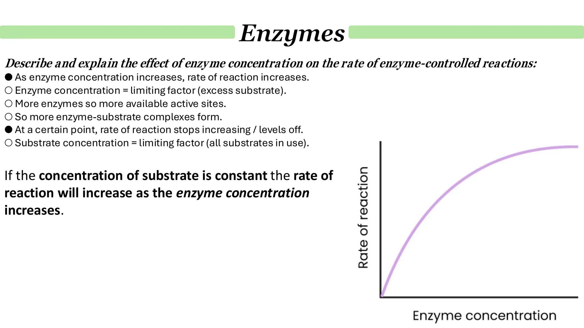 Enzymes
How do enzymes act as biological catalysts?
Each enzyme lowers activation energy of reaction it catalyses
To speed up rate of reacti