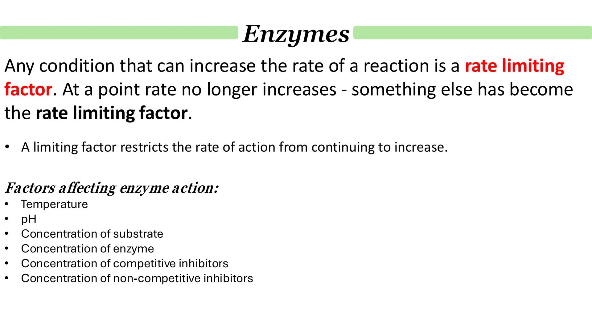 Enzymes
How do enzymes act as biological catalysts?
Each enzyme lowers activation energy of reaction it catalyses
To speed up rate of reacti