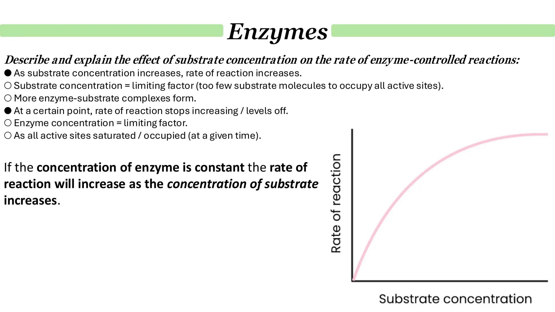 Enzymes
How do enzymes act as biological catalysts?
Each enzyme lowers activation energy of reaction it catalyses
To speed up rate of reacti