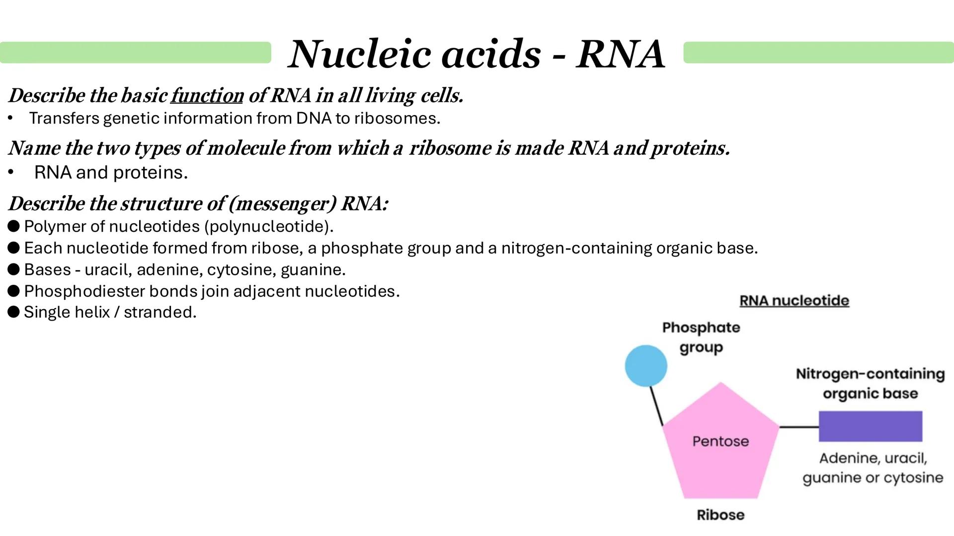 Nucleic acids - DNA
•
•
What is DNA?
It stands for deoxyribonucleic acid.
Contained in structures called chromosomes.
It a chemical that gen