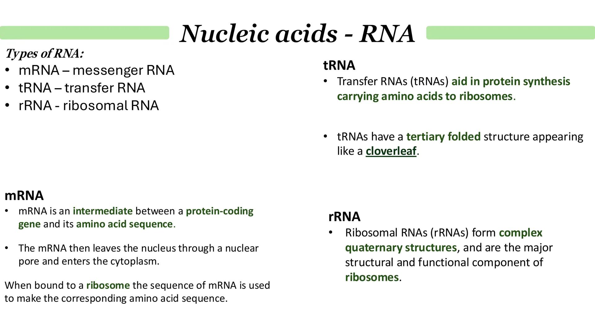 Nucleic acids - DNA
•
•
What is DNA?
It stands for deoxyribonucleic acid.
Contained in structures called chromosomes.
It a chemical that gen