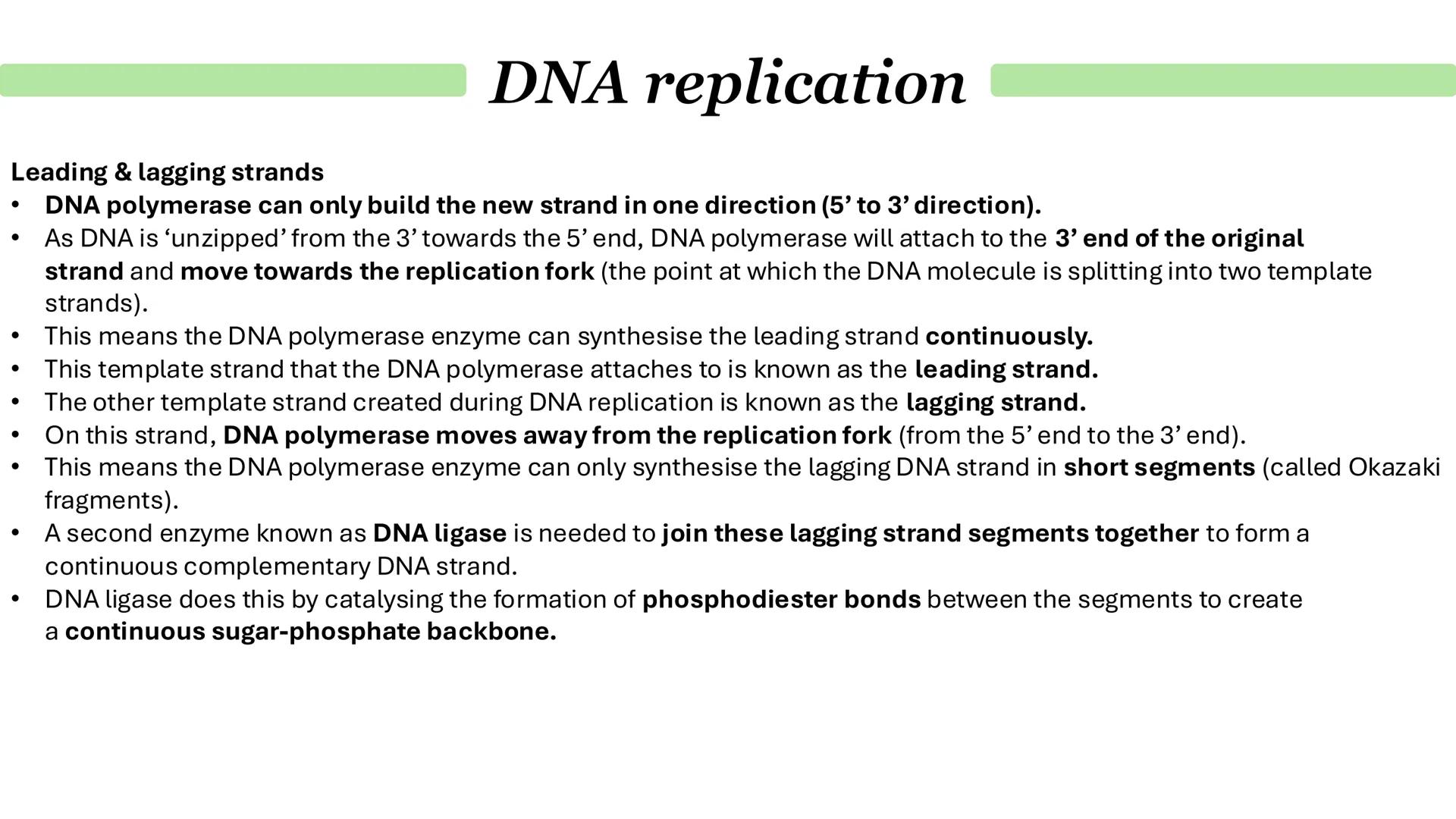 Parent DNA molecule
1
G
C
A
T
G
C
A
T
T
A
4
G
C
T
A
G
2
G
G
C
A
T
G
DNA replication
3
C
T
G
G
2 daughter molecules
5
