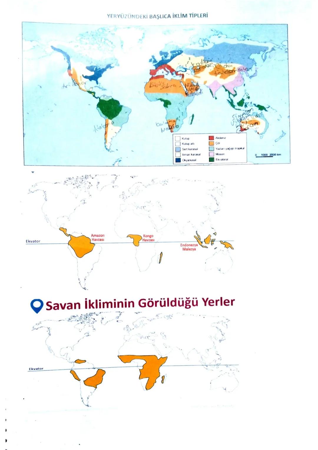 YERYÜZÜNDEKİ BAŞLICA İKLİM TİPLERİ
Kutup
Kutup altı
Akdeniz
Çöl
Sert karasal
Yazları yağışlı tropikal
Ilıman karasal
Muson
Okyanusal
Ekvato