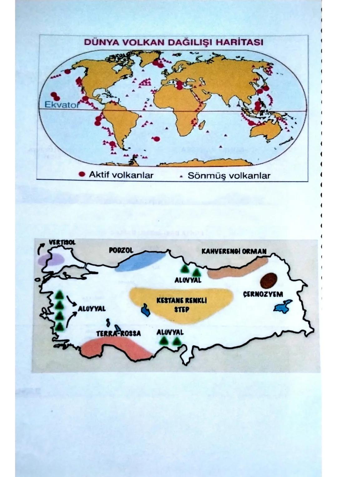 YERYÜZÜNDEKİ BAŞLICA İKLİM TİPLERİ
Kutup
Kutup altı
Akdeniz
Çöl
Sert karasal
Yazları yağışlı tropikal
Ilıman karasal
Muson
Okyanusal
Ekvato