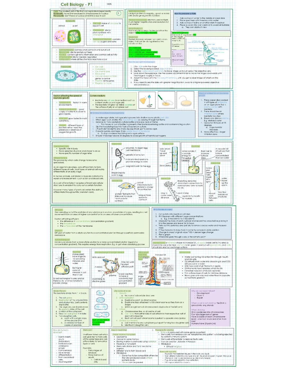 Cell biology GCSE AQA