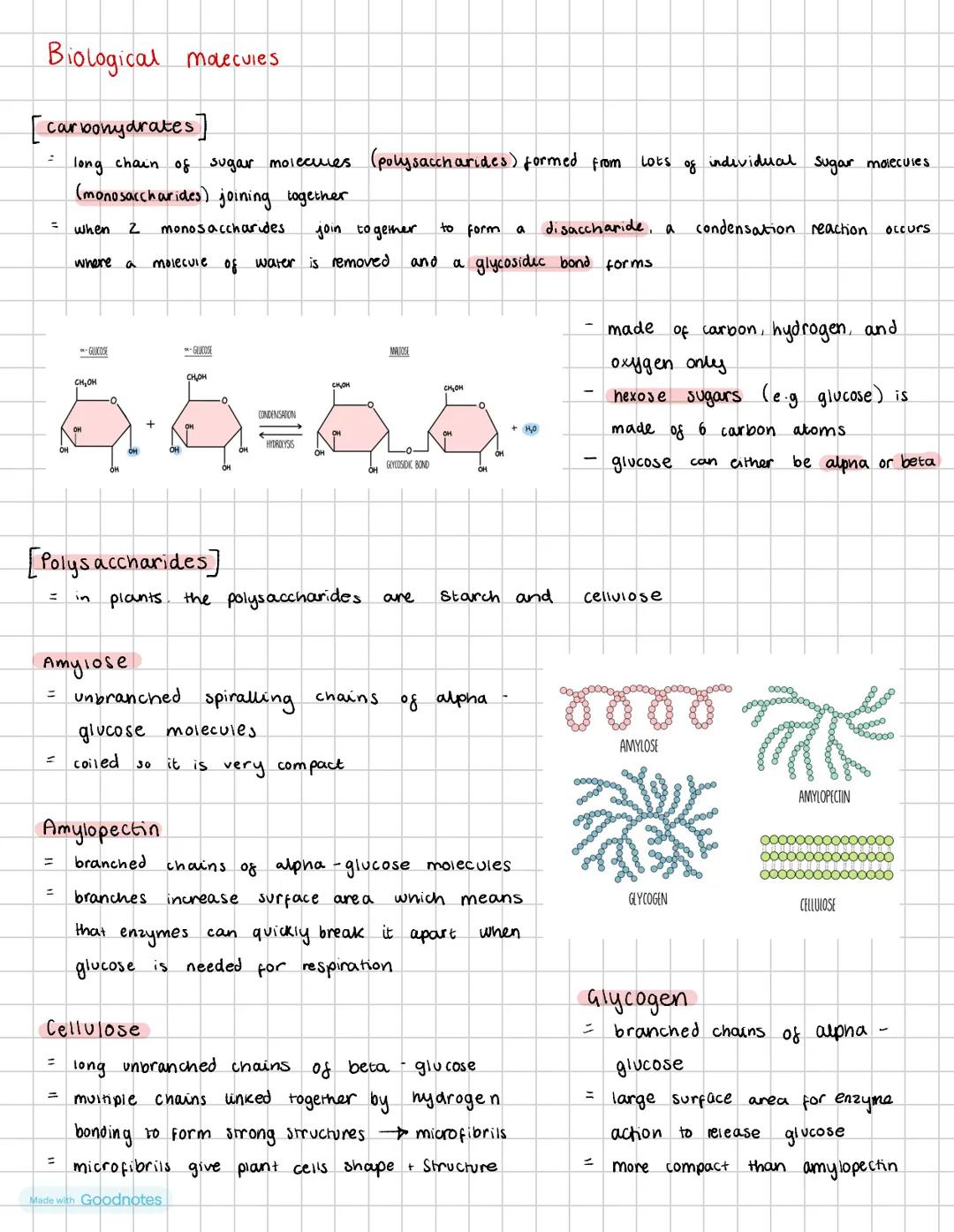Biological molecules -carbohydrates