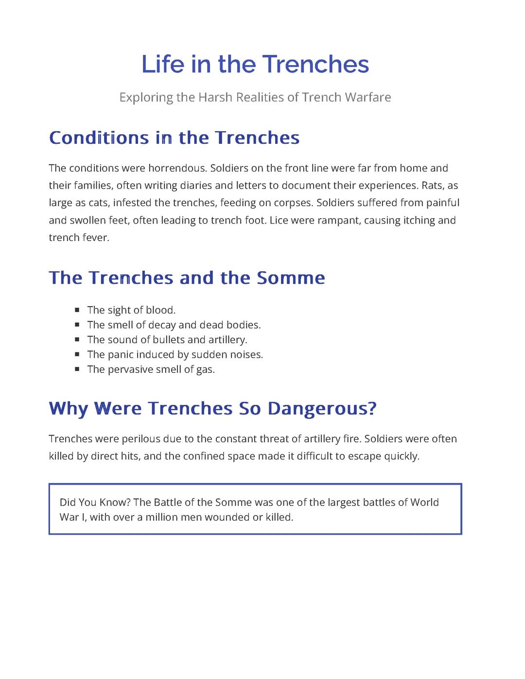 Life in the Trenches