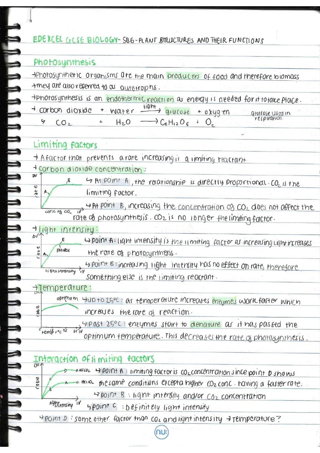 # EDEXCEL GOSE BIOLOGY-SB6-PLANT STRUCTURES AND THEIR FUNCTIONS
# Photosynthesis
→Photosynthetic organisms are the main producers of food a