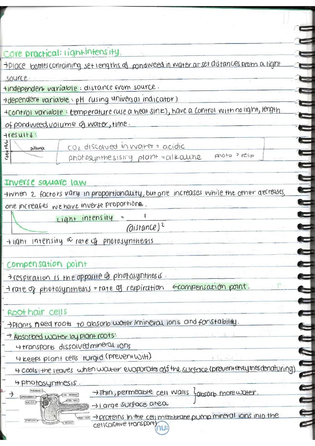 # EDEXCEL GOSE BIOLOGY-SB6-PLANT STRUCTURES AND THEIR FUNCTIONS
# Photosynthesis
→Photosynthetic organisms are the main producers of food a