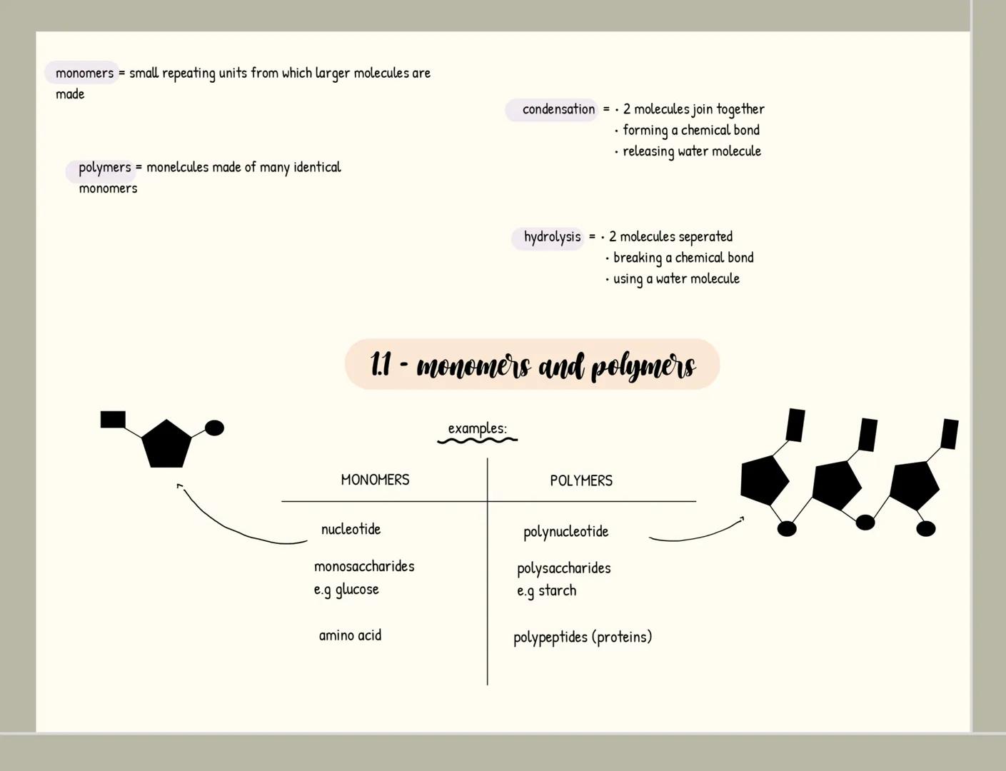 monomers = small repeating units from which larger molecules are
made
condensation 2 molecules join together
-forming a chemical bond
releas