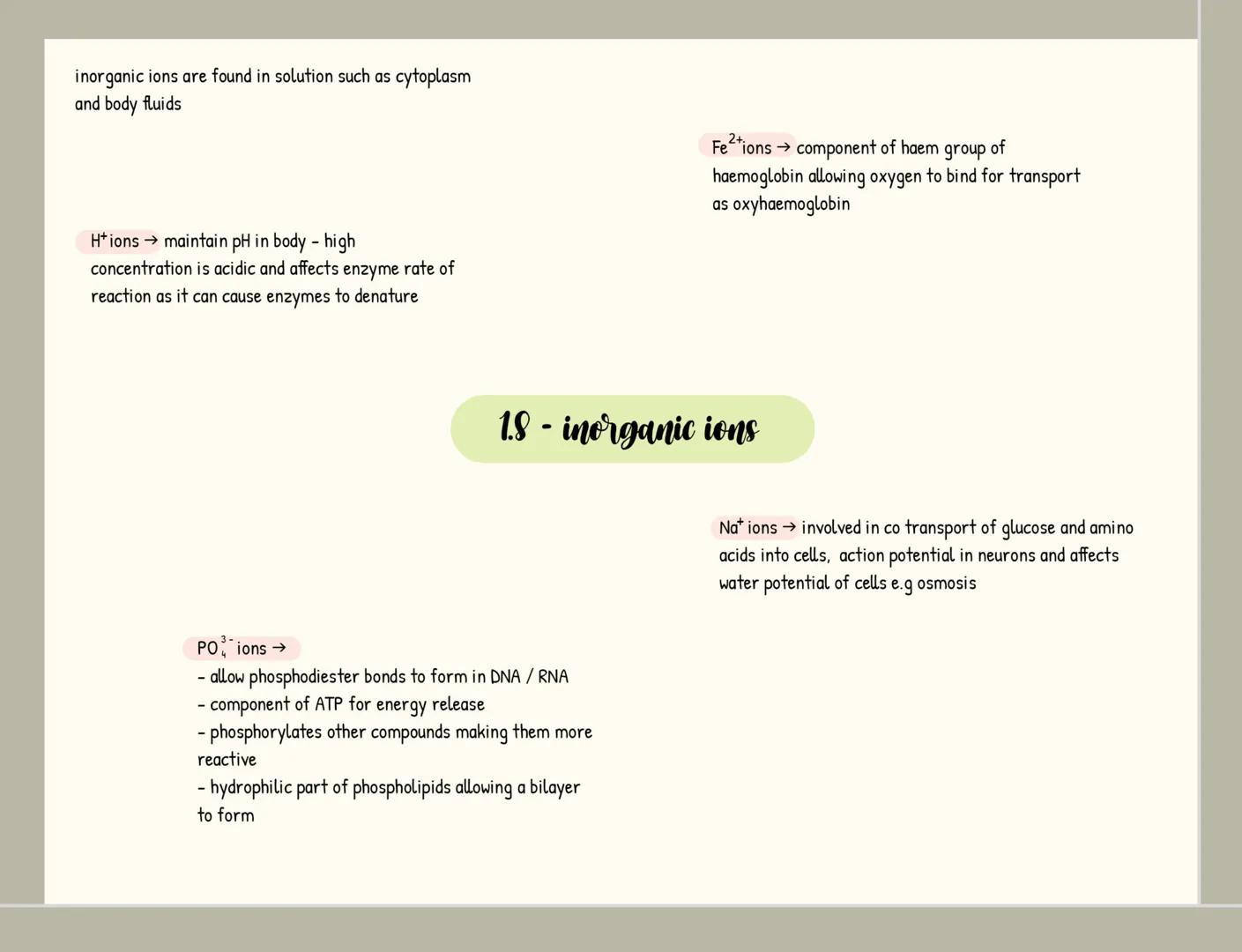 monomers = small repeating units from which larger molecules are
made
condensation 2 molecules join together
-forming a chemical bond
releas