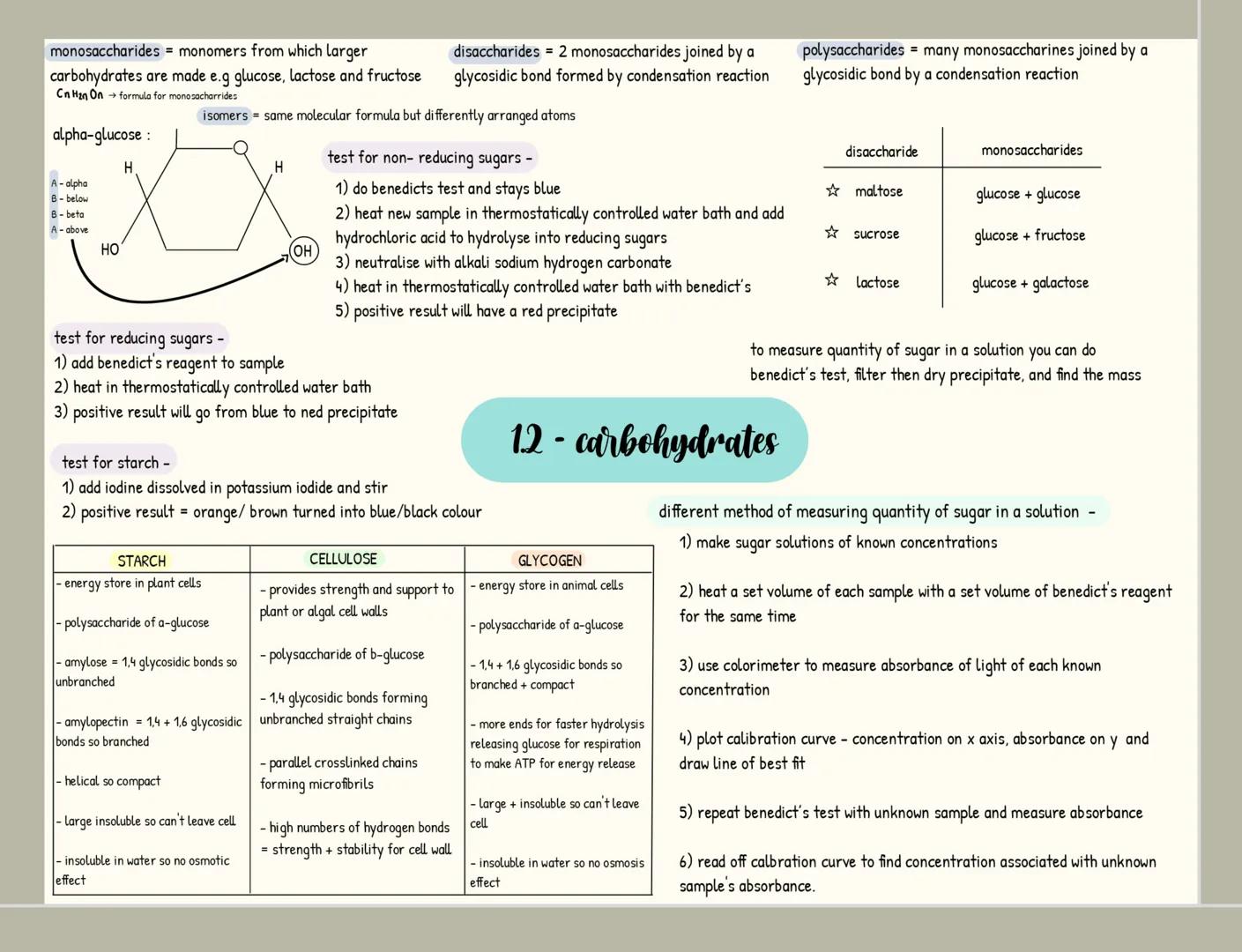 monomers = small repeating units from which larger molecules are
made
condensation 2 molecules join together
-forming a chemical bond
releas