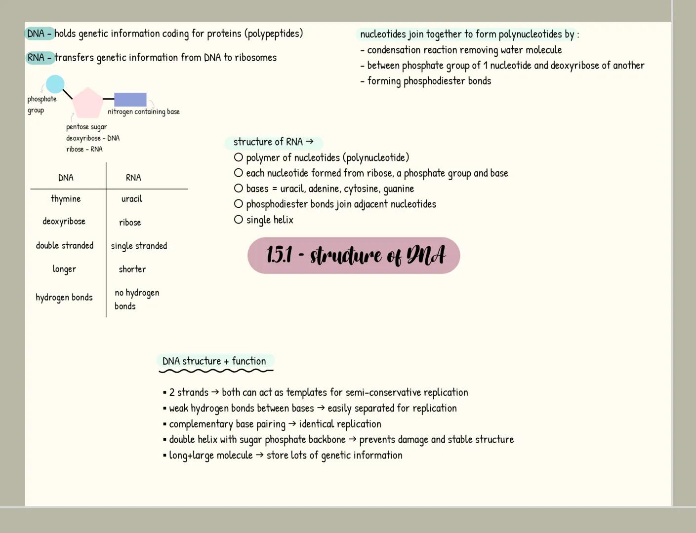 monomers = small repeating units from which larger molecules are
made
condensation 2 molecules join together
-forming a chemical bond
releas