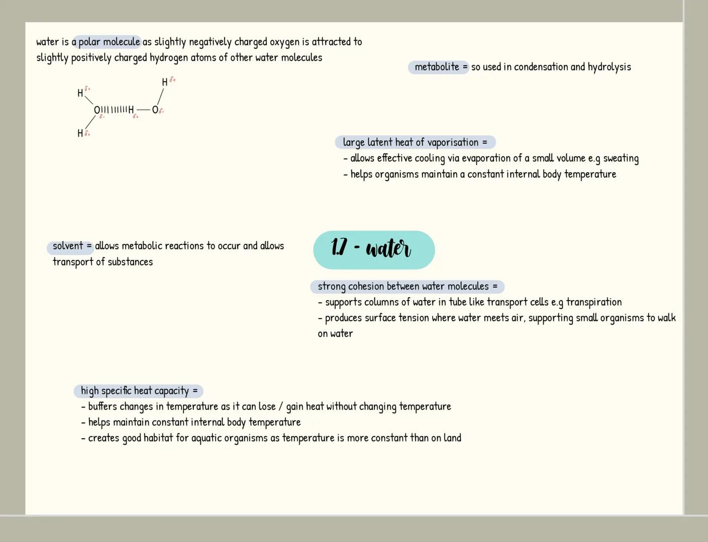 monomers = small repeating units from which larger molecules are
made
condensation 2 molecules join together
-forming a chemical bond
releas