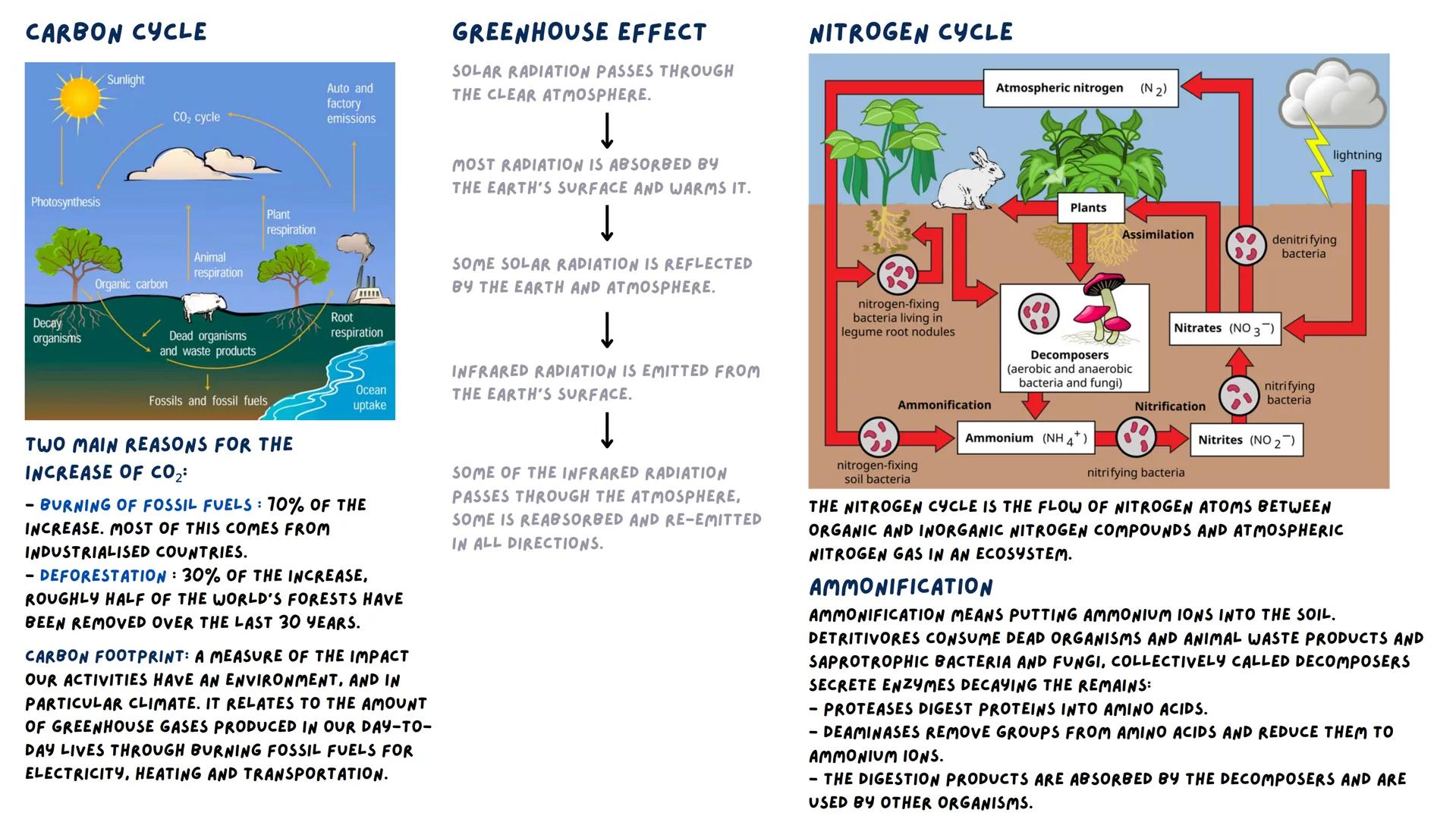 KEY TERMS:
ECOSYSTEM: A DISCRETE, RELATIVE STABLE AND
SELF-CONTAINED SYSTEM COMPRISING A
COMMUNITY OF ORGANISMS AND THEIR ABIOTIC
AND BIOTIC