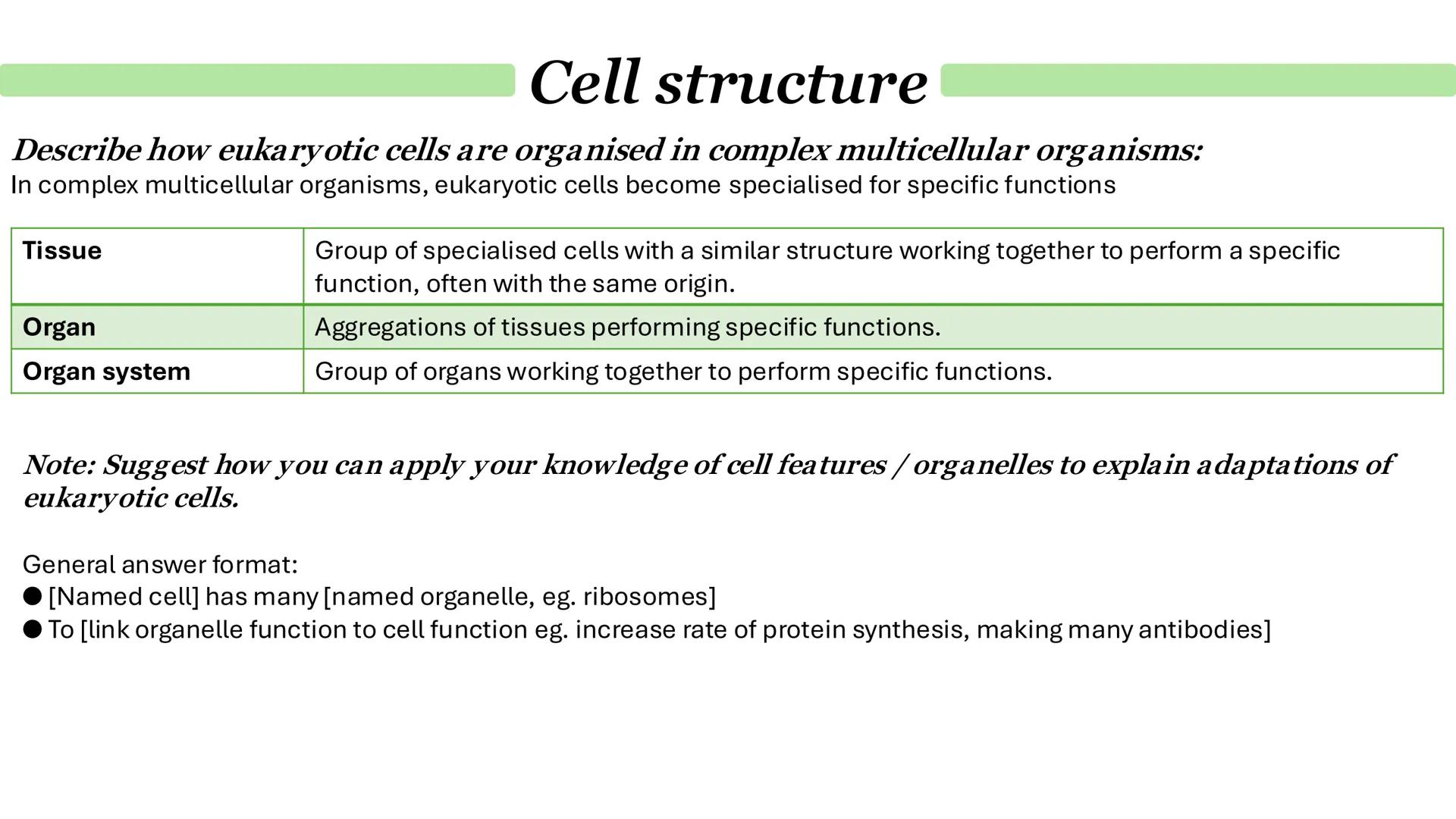 Cell structure
Describe the general structure of eukaryotic cells:
Animal cell
Plant cell
Cell-surface membrane
Mitochondrion
Nucleus
Riboso