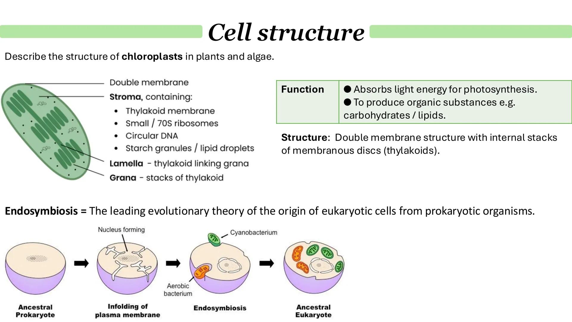 Cell structure
Describe the general structure of eukaryotic cells:
Animal cell
Plant cell
Cell-surface membrane
Mitochondrion
Nucleus
Riboso