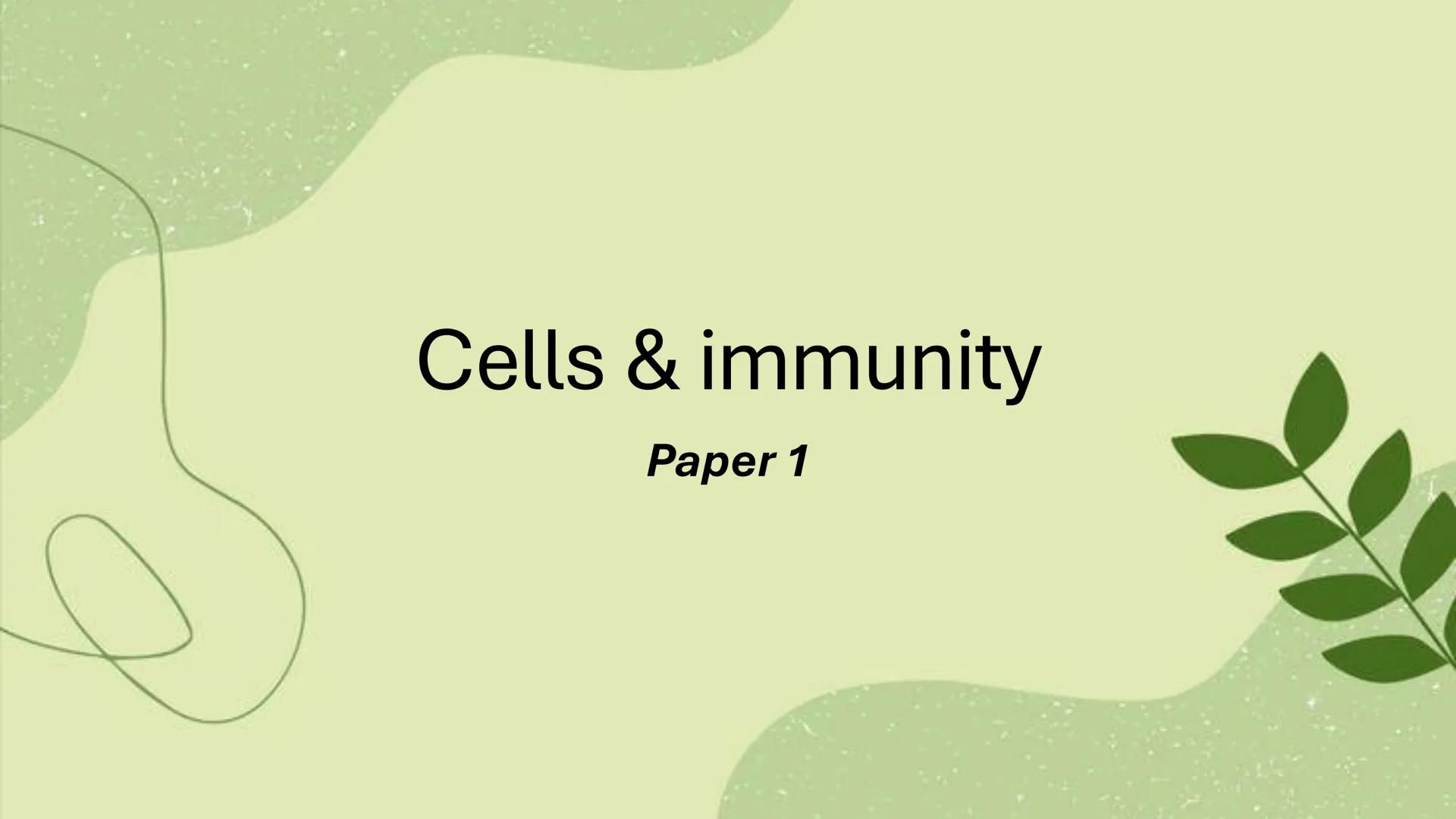 # Cells & immunity
Paper 1 Cell structure
Describe the general structure of eukaryotic cells:
Animal cell
Plant cell
Cell-surface membrane