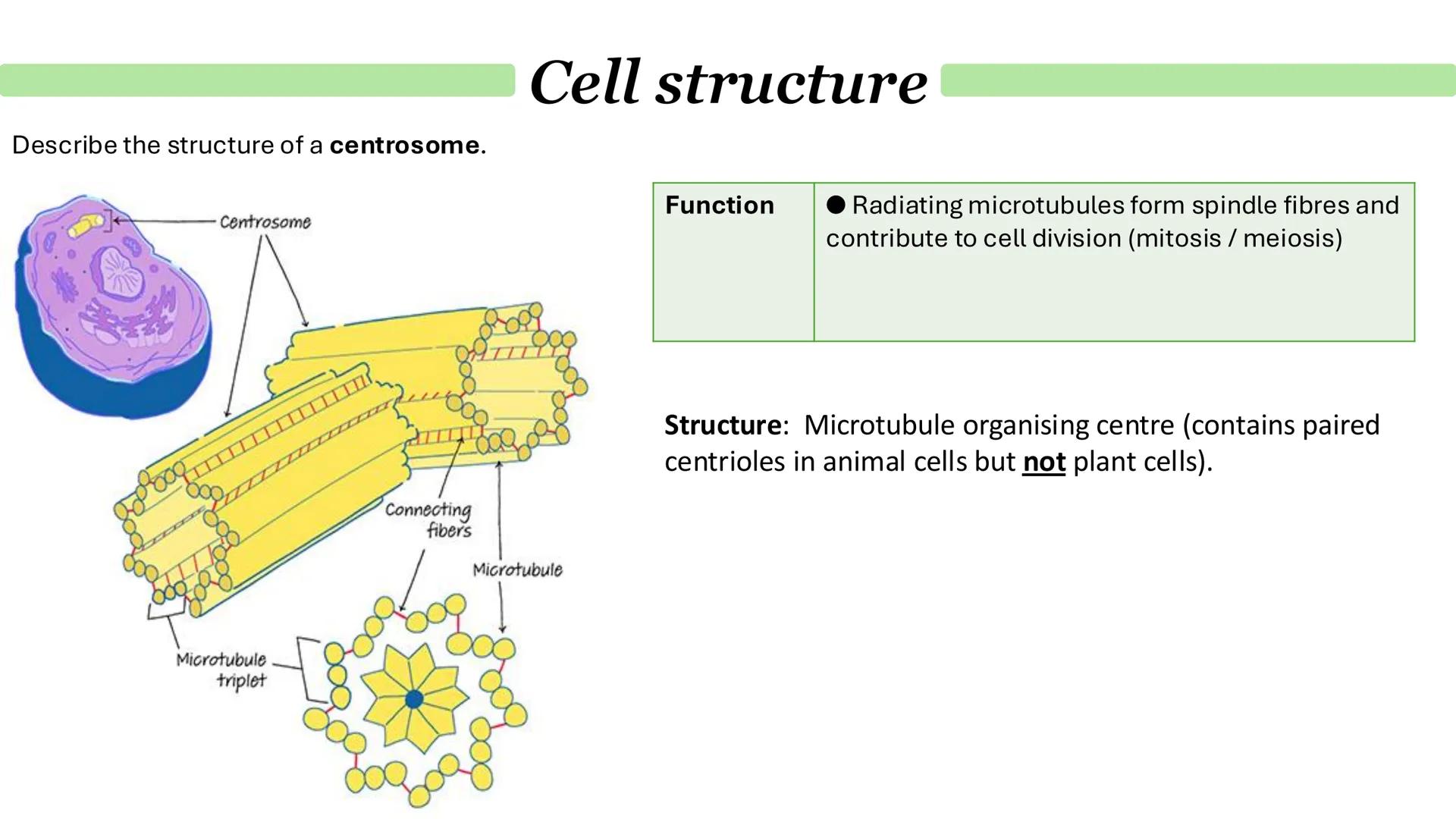 # Cells & immunity
Paper 1 Cell structure
Describe the general structure of eukaryotic cells:
Animal cell
Plant cell
Cell-surface membrane
