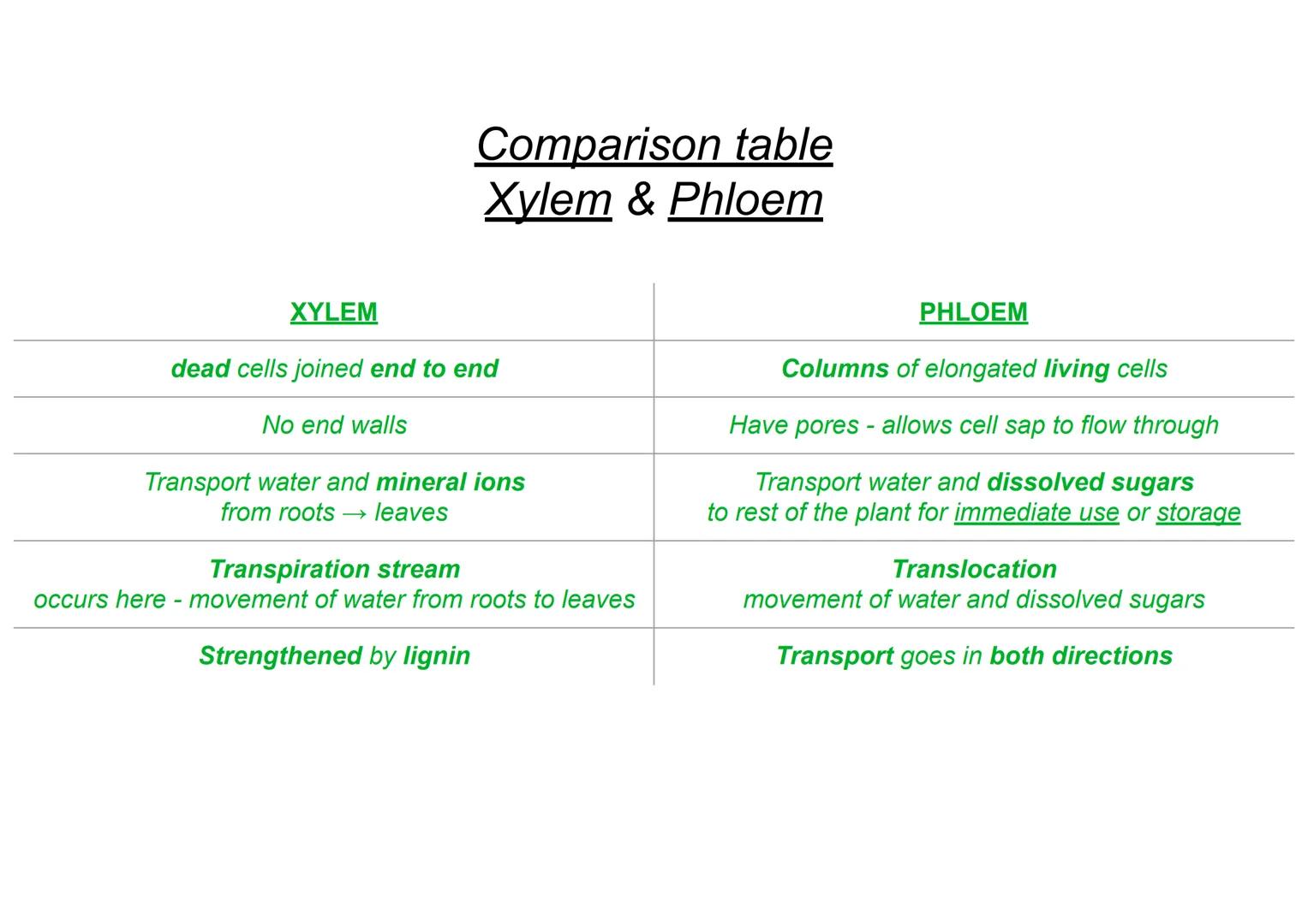 B1 - all plant content
Cell specialisation
• Phloem and xylem cells are found in plants
• They are specialised for transporting
substan