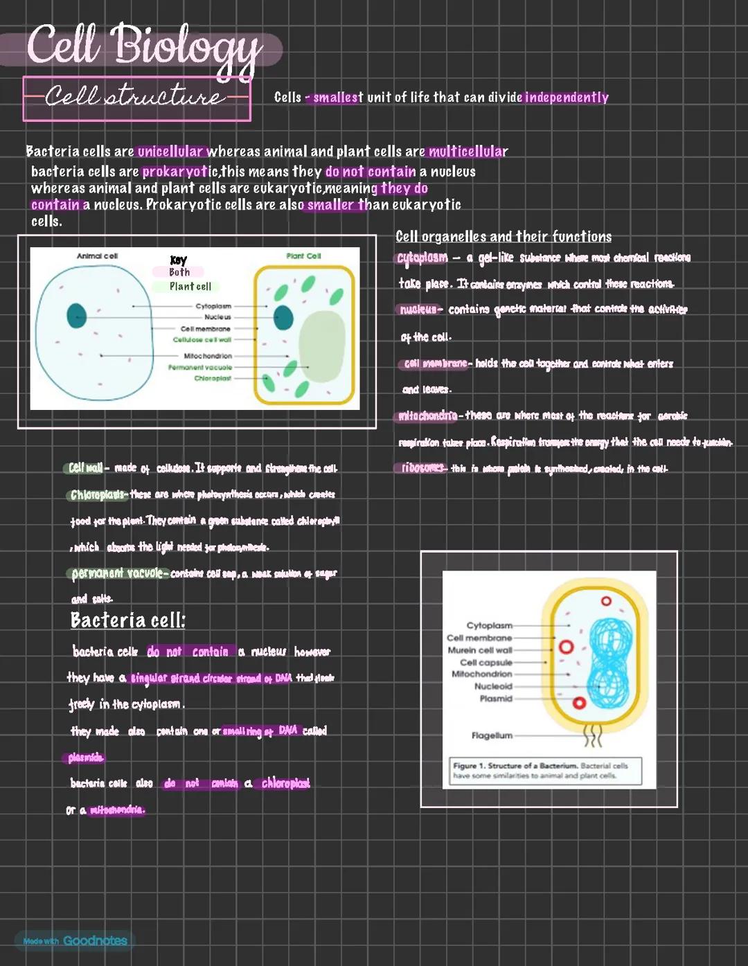 Cell biology - cell structure