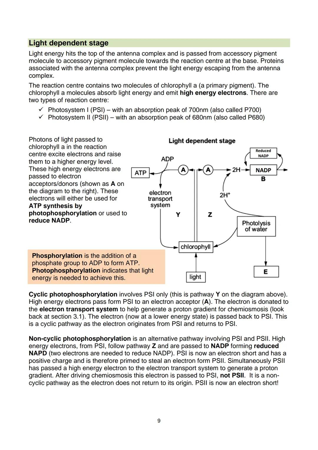 # Revision Guide
Biology - Unit 3
GCE A Level WJEC These notes have been authored by experienced teachers and are provided as support to
s
