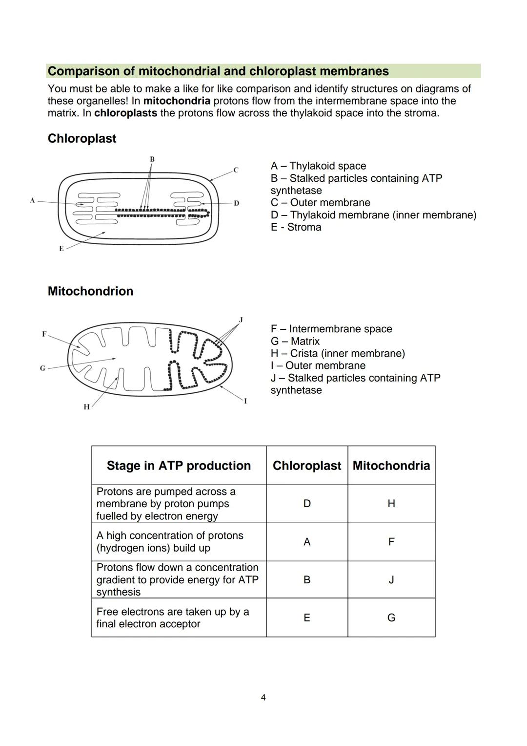 # Revision Guide
Biology - Unit 3
GCE A Level WJEC These notes have been authored by experienced teachers and are provided as support to
s