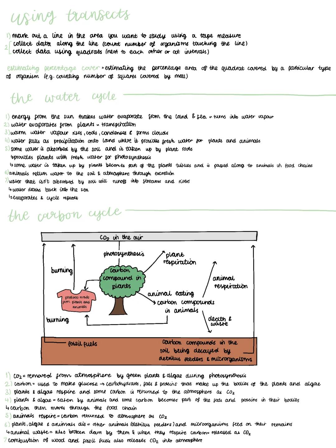 --- OCR Start ---
Competition
habitat = the place where an organism lives
population all the organisms of one species living in a habitat
co