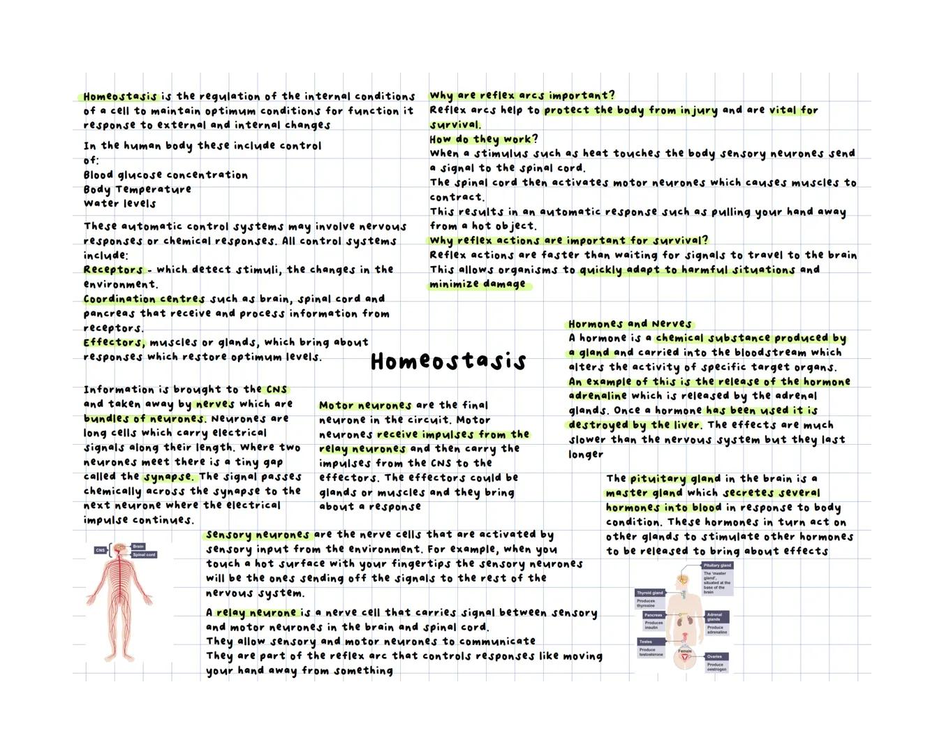 Homeostasis is the regulation of the internal conditions
of a cell to maintain optimum conditions for function it
response to external and i