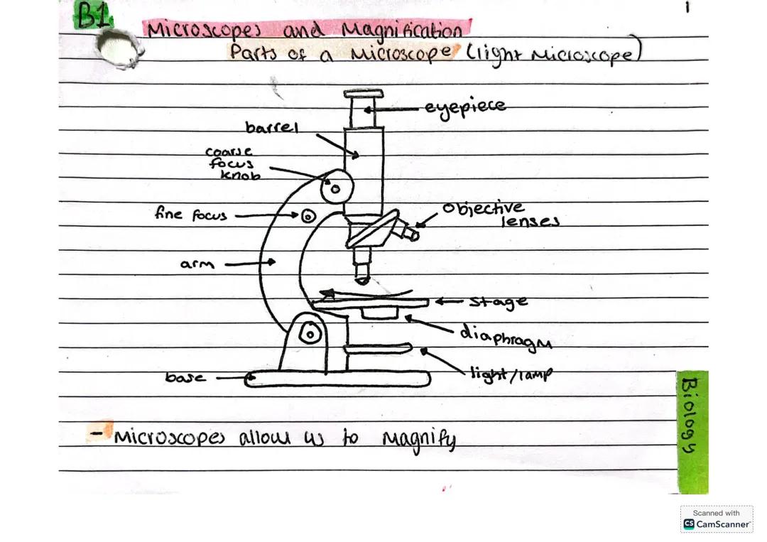 GCSE triple biology paper 1 - B1