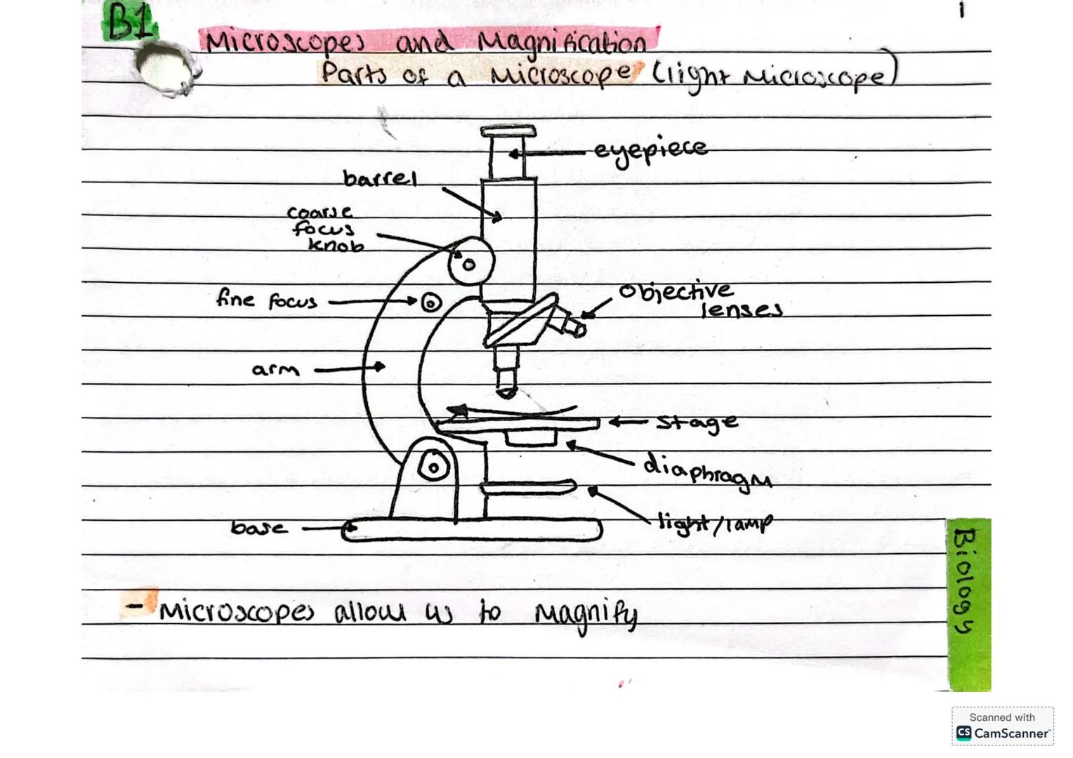 --- OCR Start ---
B1
Microscopes and Magnification
Parts of a Microscope (light Microscope)
barrel
eyepiece
coarse
focus
knob
fine focus
obj