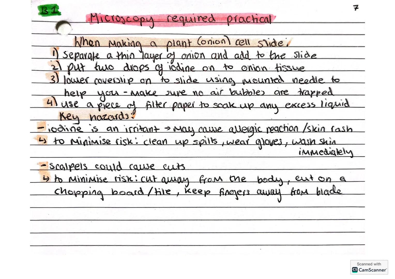--- OCR Start ---
B1
Microscopes and Magnification
Parts of a Microscope (light Microscope)
barrel
eyepiece
coarse
focus
knob
fine focus
obj