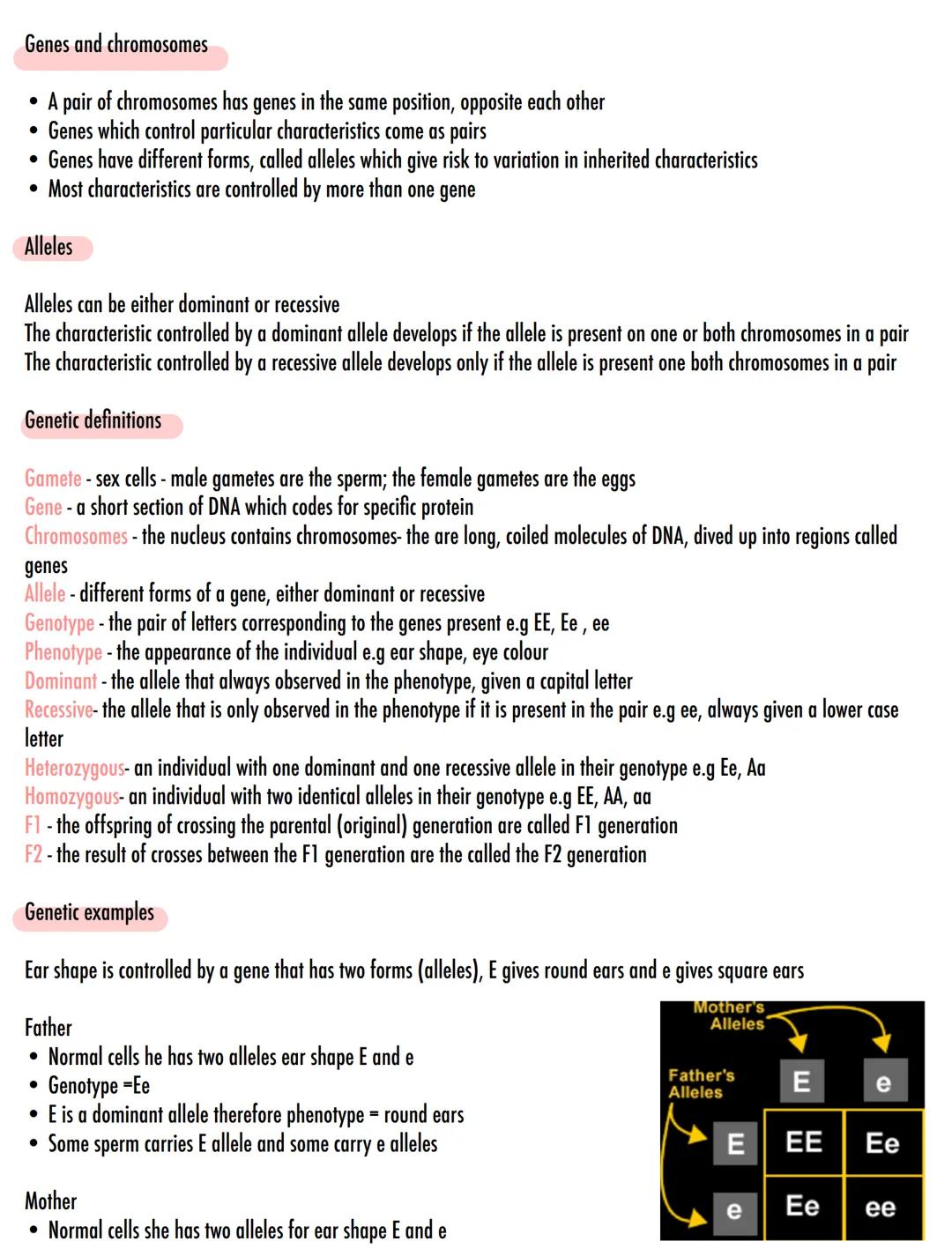 # DNA & Chromosomes
• In the nucleus of most of our cells is a molecule called DNA - this is our genetic information
• DNA carries the gene
