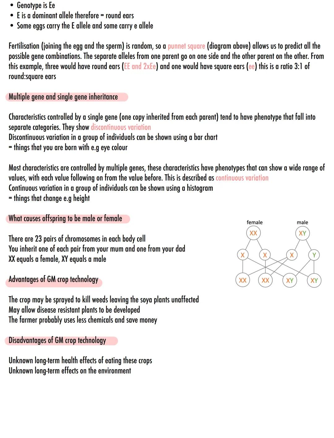 # DNA & Chromosomes
• In the nucleus of most of our cells is a molecule called DNA - this is our genetic information
• DNA carries the gene