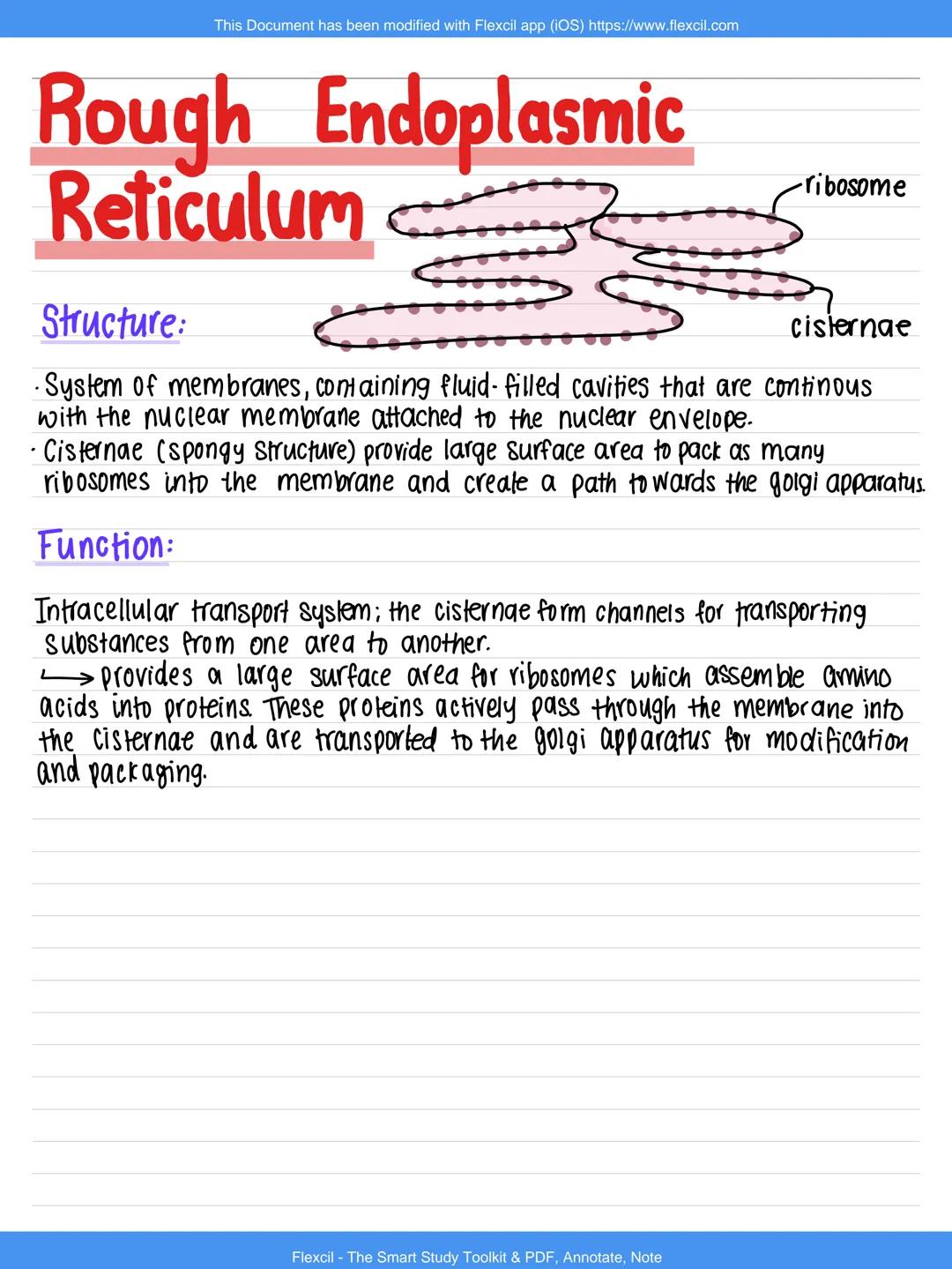 --- OCR Start ---
Cell Ultrastructure OCR Awilexil.com
Nucleus
☐
-nuclear envelope
nuclear pore
☐
chromatin
nudeolus
Structure:
Nuclear enve