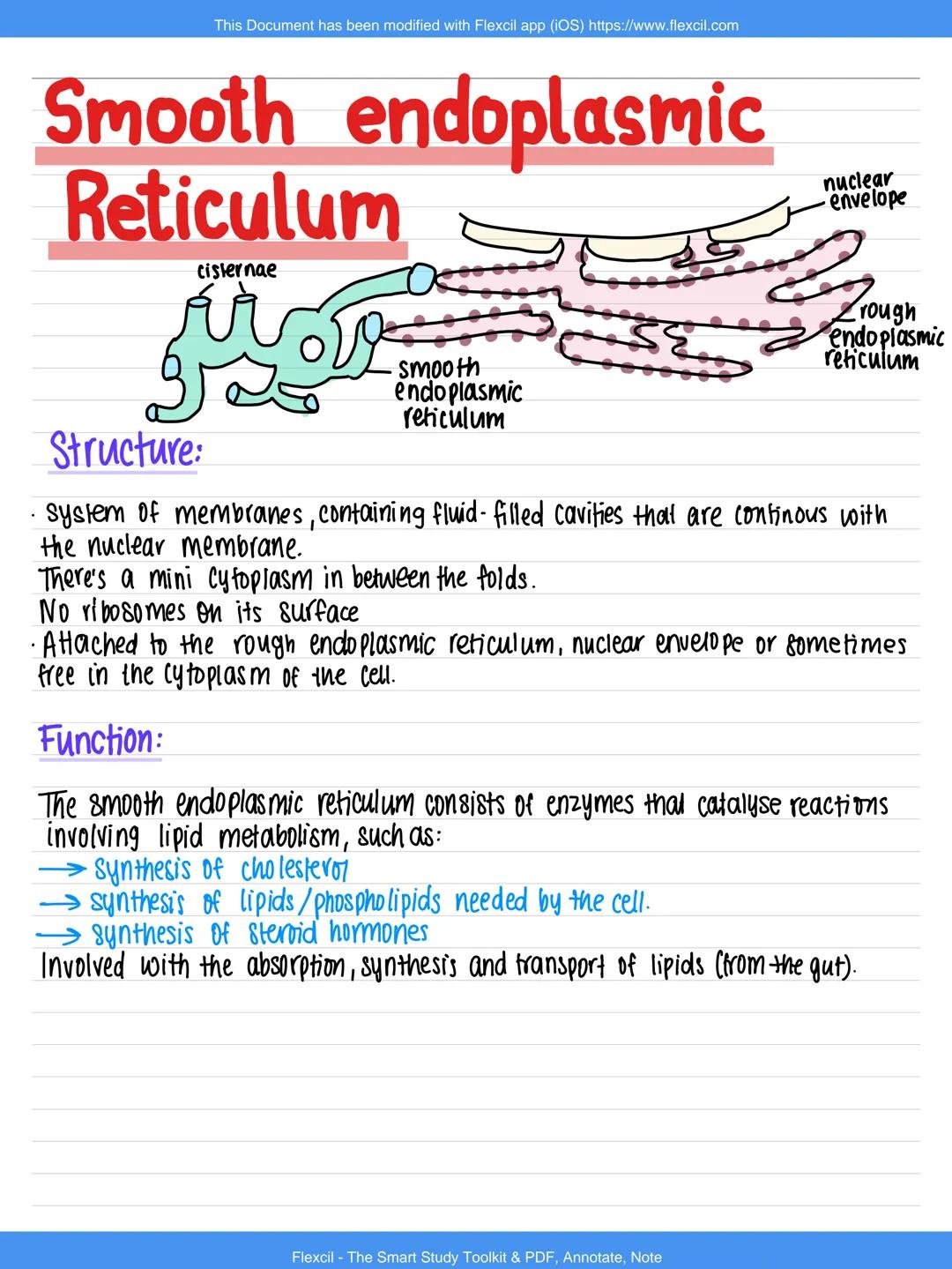 --- OCR Start ---
Cell Ultrastructure OCR Awilexil.com
Nucleus
☐
-nuclear envelope
nuclear pore
☐
chromatin
nudeolus
Structure:
Nuclear enve